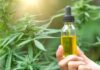 A Brief Case Study On CBD Products