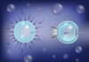 What is IVF Fertility and What Does It Mean for You?