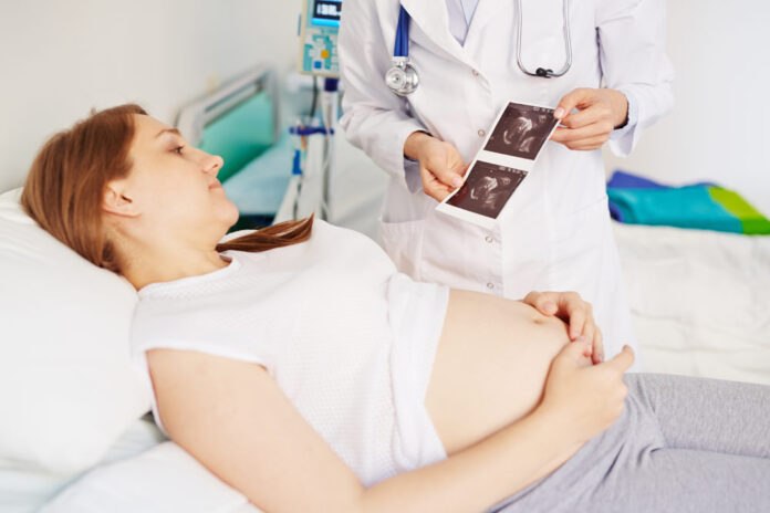 Embryo-Transfer
